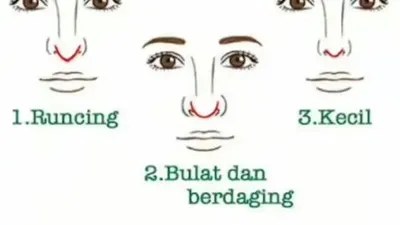 Apa Karakter Terbaikmu? Ungkap Melalui Bentuk Hidung yang Kamu Miliki, Tipe Cuek atau Perfeksionis
