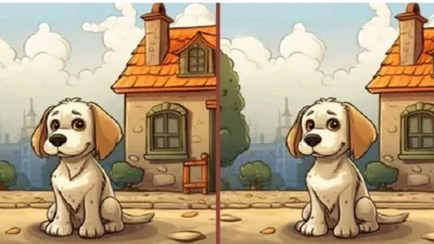 Tes Ketajaman Mata: Temukan 3 Perbedaan Pada Gambar Anjing Ini Dalam Waktu 10 Detik, Berani Coba?