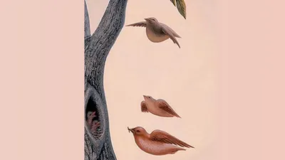 Ilustrasi tes kepribadian