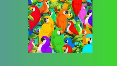 Cari Tahu Apakah Kamu Termasuk Orang yang Teliti dengan Ilusi Optik Berikut Ini, Coba Temukan Bunglon dalam Waktu 10 Detik!