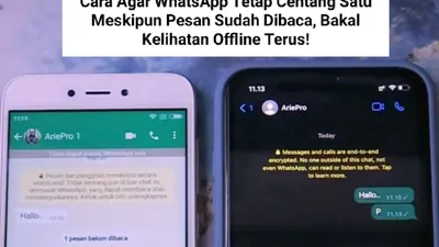 Cara agar WhatsApp Tetap Centang Satu Meskipun Pesan Sudah Dibaca, Bakal Kelihatan Offline Terus!
