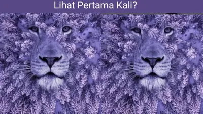 Tes Kepribadian: Lihat Singa atau Bunga Lavender? Jawabanmu Ungkap Rahasia Percintaan dan Pertemanan