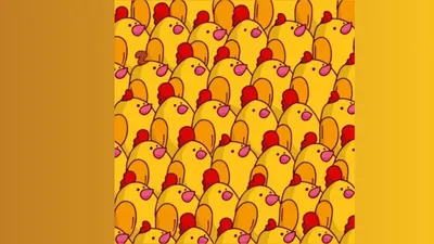 Illustrasi Tes Ketelitian