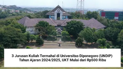 3 Jurusan Kuliah Termahal di Universitas Diponegoro (UNDIP) Tahun Ajaran 2024/2025, UKT Mulai dari Rp500 Ribu
