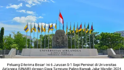 Ilustrasi. Jurusan sepi peminat dengan daya tampung besar ini bisa&nbsp;jadi&nbsp;referensi mendaftar Jalur Mandiri UNAIR karena peluang diterima lebih besar.