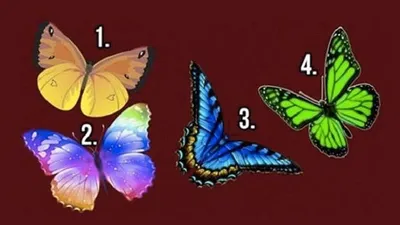 Tes Kepribadian: Kupu-Kupu Mana yang Menarik? Pilihanmu Ungkap Apa yang Membuat Kamu Lebih Unggul dari Orang Lain