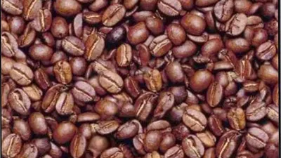 Tes Penglihatan: Temukan Kepala Laki-Laki di Antara Kopi