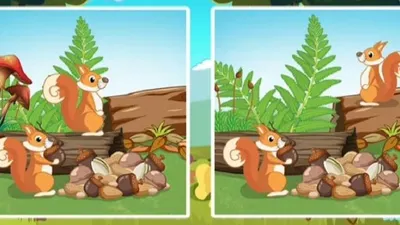 Bermain tes ilusi optik dengan menebak perbedaan gambar dari objek serupa merupakan pilihan permainan seru yang dapat dimainkan.