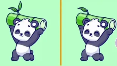 Tes Ilusi Optik: Temukan 3 Perbedaan Gambar Panda dalam 10 Detik, Yakin Bisa?