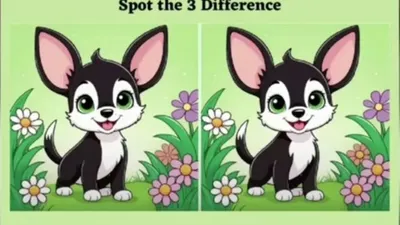 Tes Ilusi Optik: Tunjukkan Ketelitianmu, Coba Temukan 3 Perbedaan Gambar Kucing dalam 10 Detik!