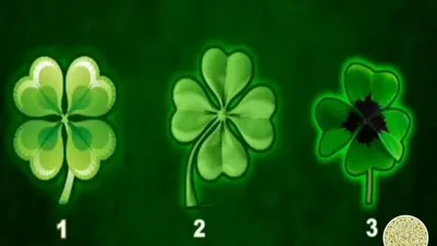 Pilih bunga clover favoritmu dan ungkap keberuntunganmu! Bisa sukses materi, cinta, atau karier yang cemerlang.
