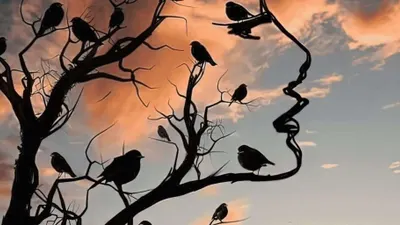 Tes Psikologi: Wajah, Pohon atau Burung? Gambar Pertama yang Dilihat Ungkap Sifat Dominanmu!