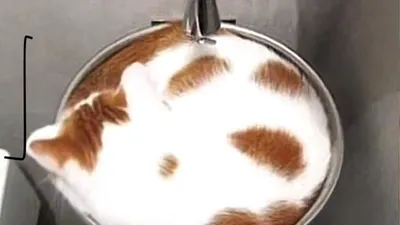 Kopi atau Kucing? Gambar apa yang Anda lihat pertama akan ungkap karakter