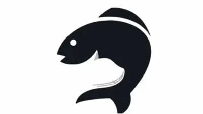 Ikan atau kucing yang pertama kali dilihat