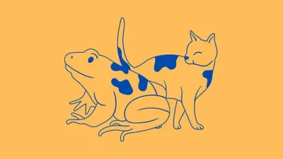 Tes Kepribadian: Lebih Fokus pada Katak atau Kucing? Jawabanmu Ungkap Kesan Pertamamu di Mata Orang Lain!