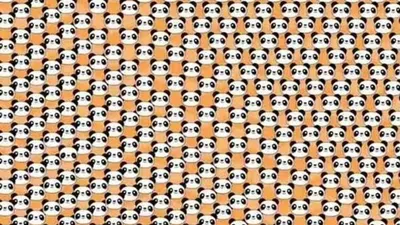 Untuk tantangan tes IQ kali ini kamu akan disuguhkan dengan sebuah gambar ilusi optik berupa banyak wajah panda.