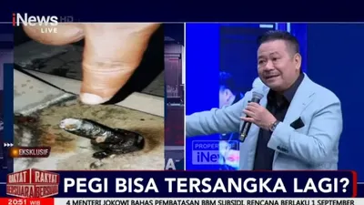 Otto Hasibuan Tunjukkan Bukti Kuat Kematian Vina dan Eky Diduga karena Kecelakaan