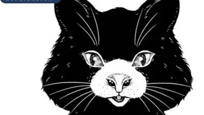 Tes Kepribadian: Apakah Kamu Melihat Kucing atau Tikus? Jawabanmu Ungkap Kondisi Percintaanmu Sekarang