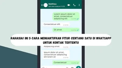 Rahasia! Ini 5 Cara Mengaktifkan Fitur Centang Satu di WhatsApp untuk Kontak Tertentu