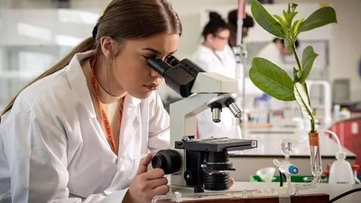 Ilustrasi jurusan kuliah Bioteknologi