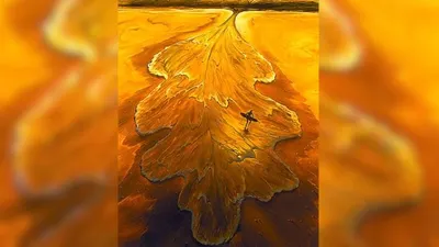Ilustrasi Tes Kepribadian