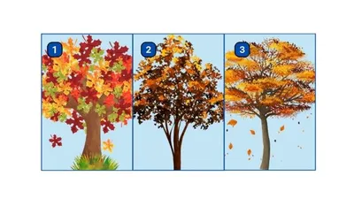 Ilustrasi tes kepribadian
