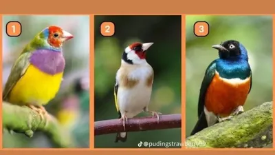 Tes kepribadian