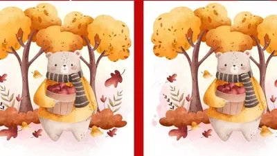 Kamu memerlukan daya fokus yang mumpuni, untuk dapat menemukan 3 perbedaan pada gambar beruang dengan baik.