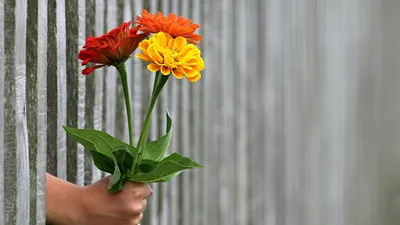Mari kita mulai tes kepribadian ini untuk mengetahui berapa orang yang diam-diam suka padamu. Caranya sangat mudah sekali!