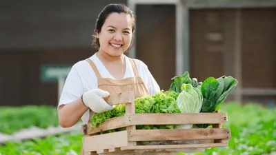 Memilih tanaman yang berpeluang besar dan sesuai dengan lingkungan sangat penting agar tanaman yang dibudidayakan memberikan keuntungan.