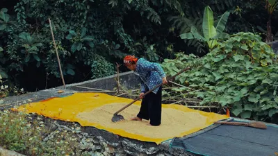 Meskipun tergolong rendah. Pada triwulan II-2024, pertanian DKI Jakarta hanya menyumbang 0,07 persen dari perekonomian DKI Jakarta.