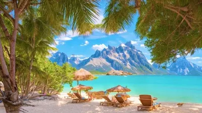 Tes Ilusi Optik: Temukan Satu Penyu Tersembunyi dalam Gambar pantai Ini