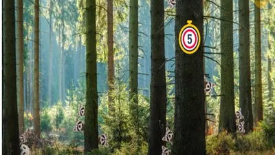 Pada tes penglihatan kali ini menggunakan gambar terdapat seekor panda tersembunyi di hutan yang banyak rakun. 