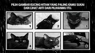 Pada tes psikologi kali ini, kamu akan diajak memilih kucing hitam yang kamu sukai untuk mengungkap apa masalah kamu di masa depan.
