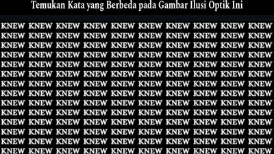 Tes penglihatan.