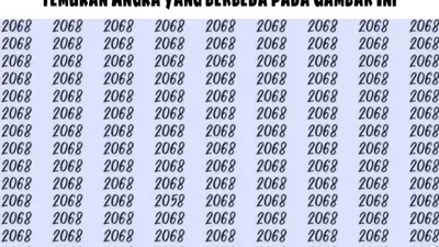 Tes Penglihatan: Fokus dan Konsentrasi Kian Menurun? Temukan Angka 2058 di Antara Kumpulan Angka 2068 untuk Uji Kemampuan Observasi