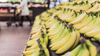 Fakta Menarik tentang Kepribadian Orang yang Suka Pisang, Pantesan Mereka Lembut