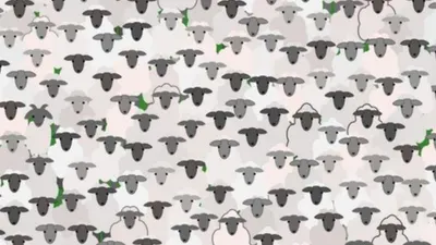 Tes Ilusi Optik : Uji Ketajaman Matamu dan Temukan Seekor Kambing di Antara Domba Dalam 8 Detik