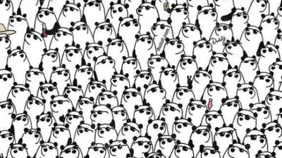 Tes IQ Ilusi Optik: Uji Fokus Mata! Ada 3 Panda Tanpa Kacamata Hitam, Di Mana Letaknya?