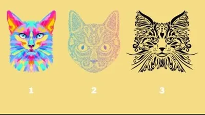 Tes Kepribadian: Pilih Kucinh Kesayanga Kamu dari 3 Gambar Ini, Bisa Ungkap Nasihat Penting untuk Hidupmu