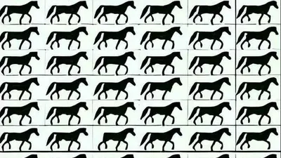 Tes IQ : Punya Kemampuan Observasi? Coba Temukan Ada Berapa Kuda Berkaki Tiga pada Gambar Ini