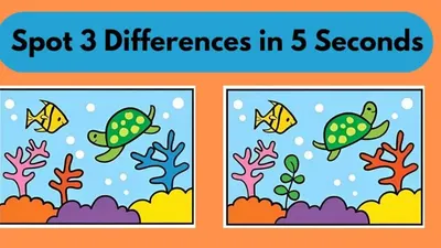Tes IQ: Istirahat Sejenak, Ayo Bermain! Cari 3 Perbedaan pada Gambar Ikan dan Kura-kura Ini, Yakin Bisa Menemukan?