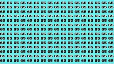 Tes ilusi optik Cari Angka 66 di Antara Deretan 65