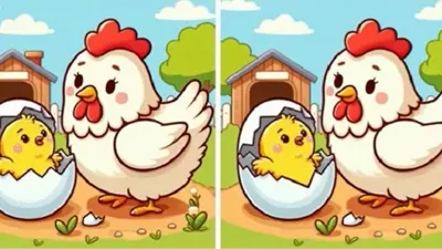 Ilustrasi tes penglihatan