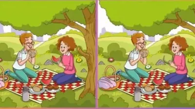 Uji Analisa Terbaikmu Dalam Tes IQ: Temukan 3 Perbedaan Pada Gambar Sepasang Kekasih yang Sedang Piknik Ini