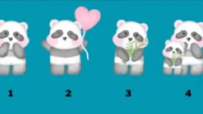 Panda yang Kamu Pilih Bisa Membantu Kamu Mengetahui Kepribadian Asli yang Selama Ini Tidak Kamu Sadari Lho!