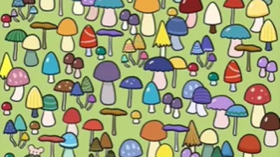 Ilustrasi tes IQ