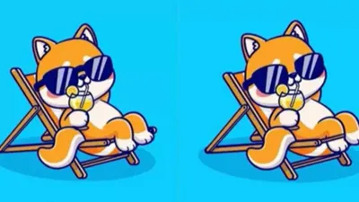 Temukan 3 perbedaan pada gambar kucing santai berikut