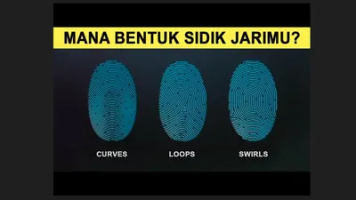 Illustrasi.Kepribadian Berdasarkan Pola Sidik Jari