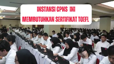 CPNS 2024: 19 Instansi yang Mewajibkan Sertifkat TOEFL Sebagai Persyaratan